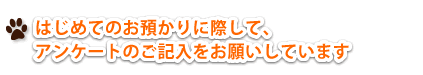 はじめてのお預かりに際して、アンケートのご記入をお願いしています